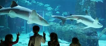 Seaquarium du Grau-du-Roi