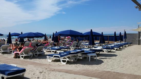 Plage la Rose des Vents