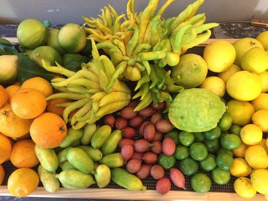 Les Palmiers