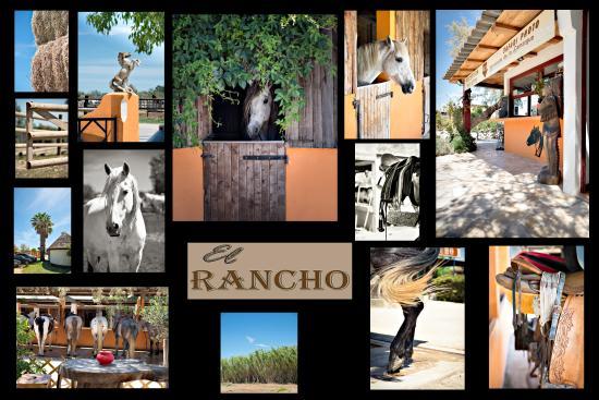 El Rancho