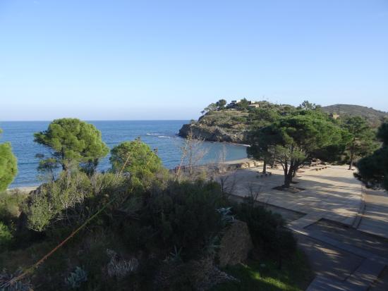 Plage de Paulilles
