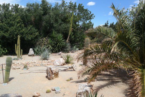 L'Arboretum