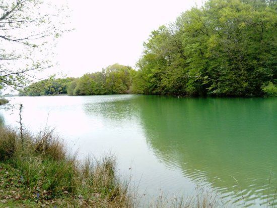 Le lac de Lupiac