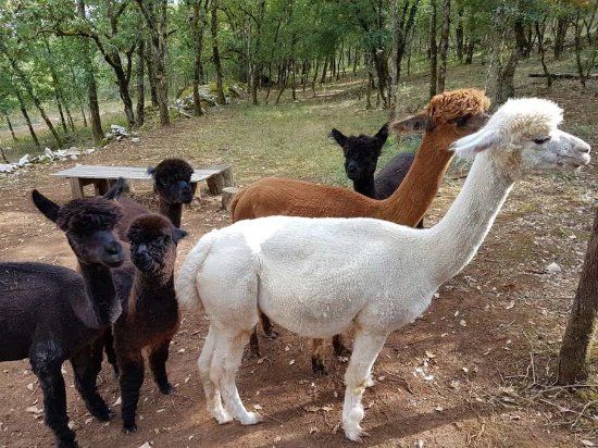 La Ferme Pachamama