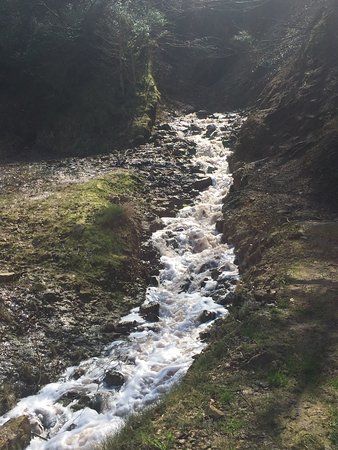 la Source Salée de la Sals