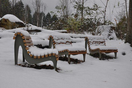 Parc de Bouycheres