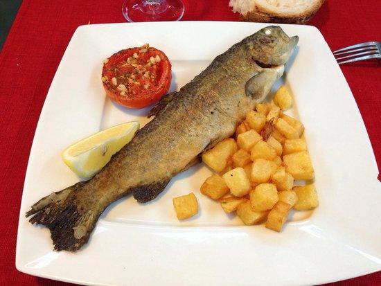 Aven Gourmand
