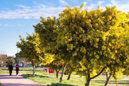 Parc de la Prade