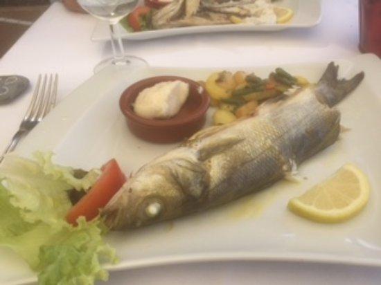 Le Lamparo