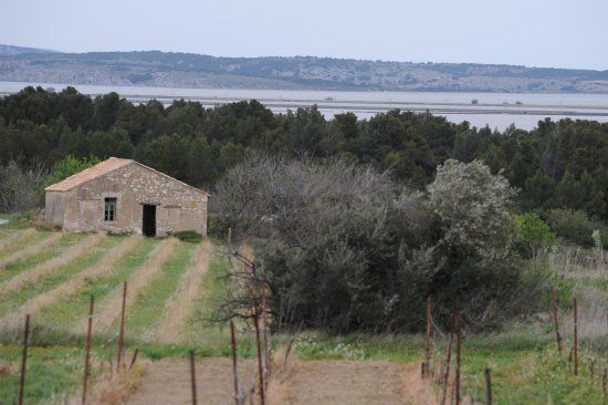 Port Mahon