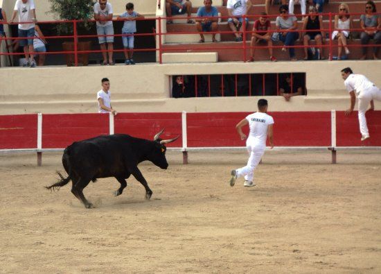 Les Arènes de Pérols