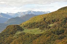 la réserve naturelle régionale du massif du Pibeste-Aoulhet