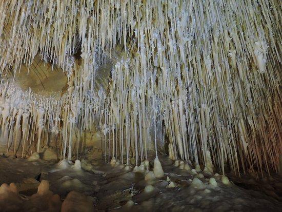grottes de Cougnac