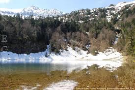 l'étang de Guzet