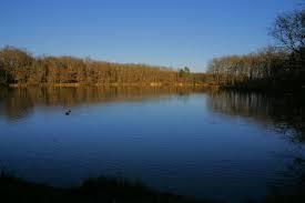 Lac de la Bordette