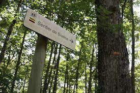 la forêt de Sivens