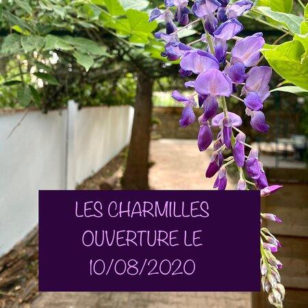 Le Vaquesso