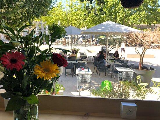 Le Jardin d'Alex