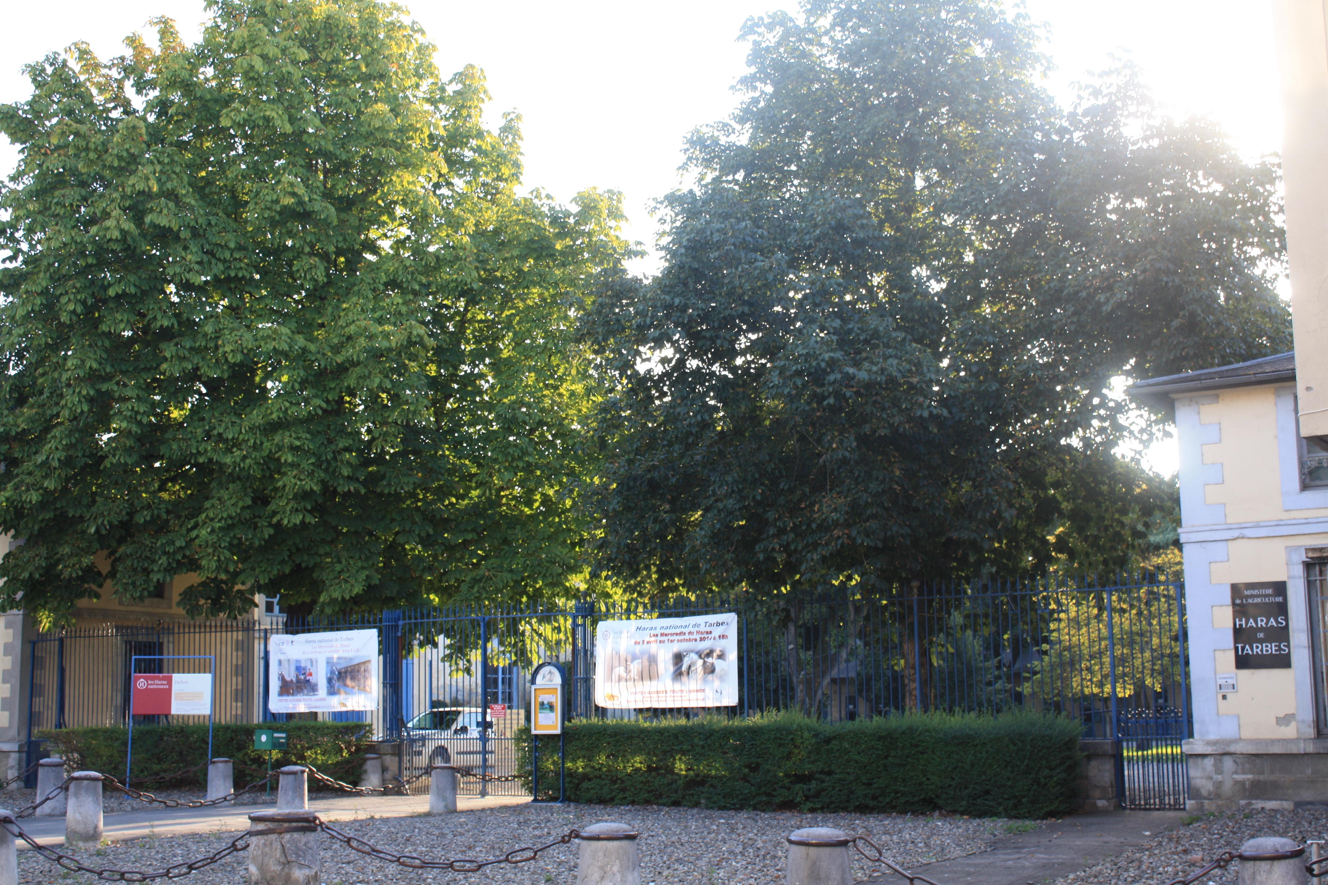 haras national de Tarbes
