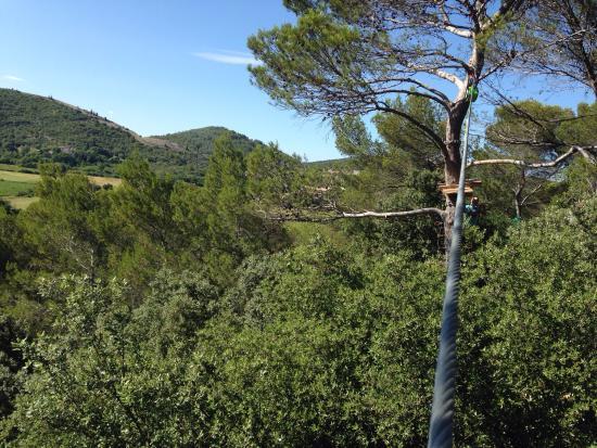 Forest Parc