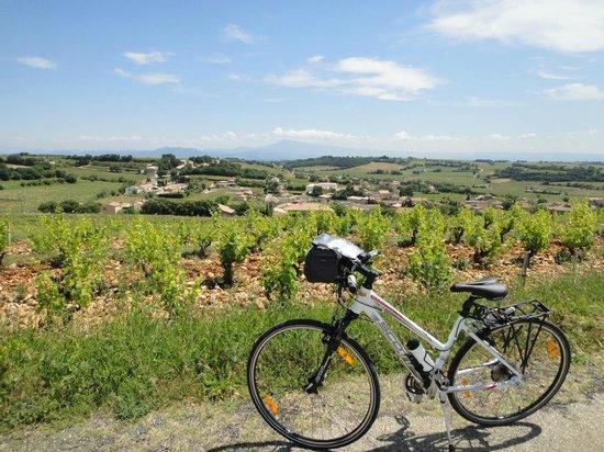 Village Velo
