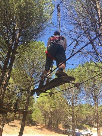 Arbre Et Aventure 34