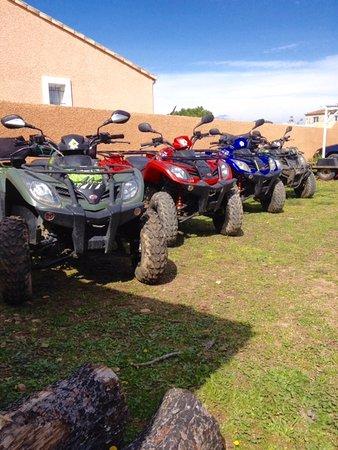Rando Quad Castor