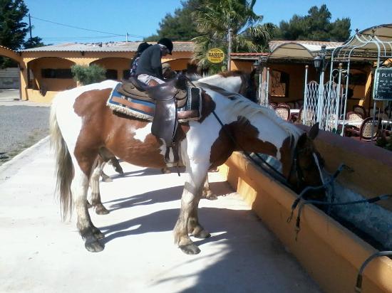 Ranch la Camargue