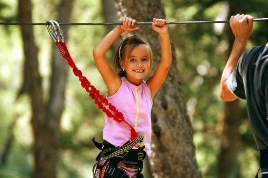 La Foret d'Acrobates