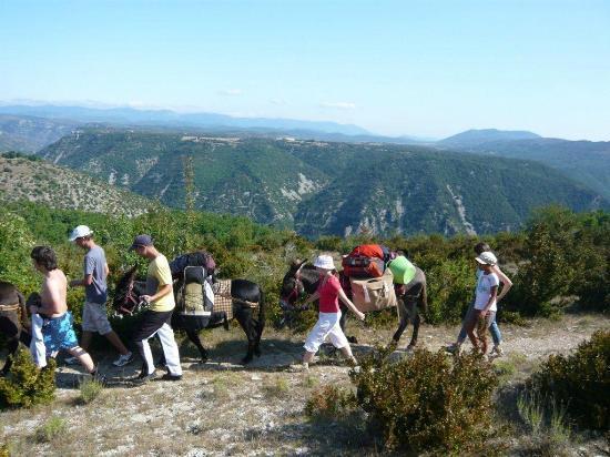Sherp'anes les Anes du Causse
