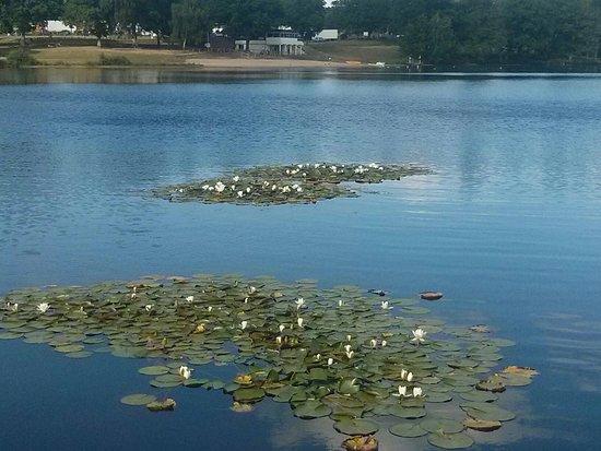 Lac de Ponty