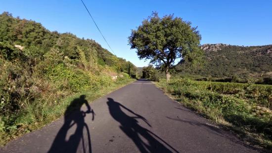 Vie et Velo