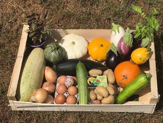 La Ferme de Cedric