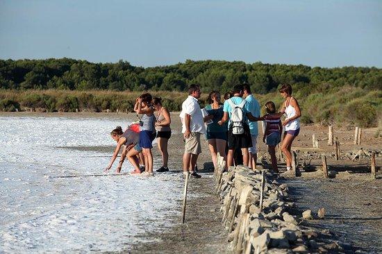 Les Anciens Salins