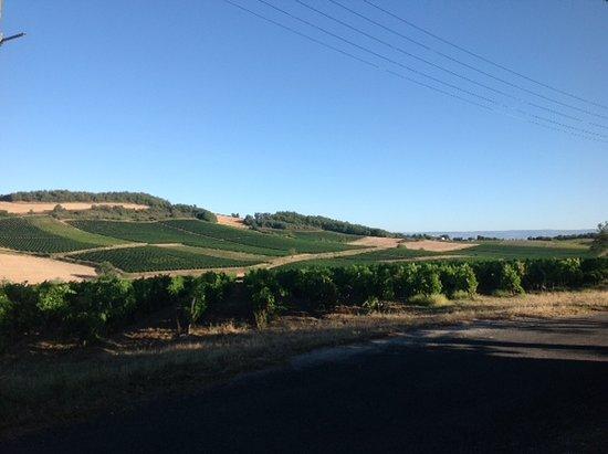 Mellow Velos - Limoux
