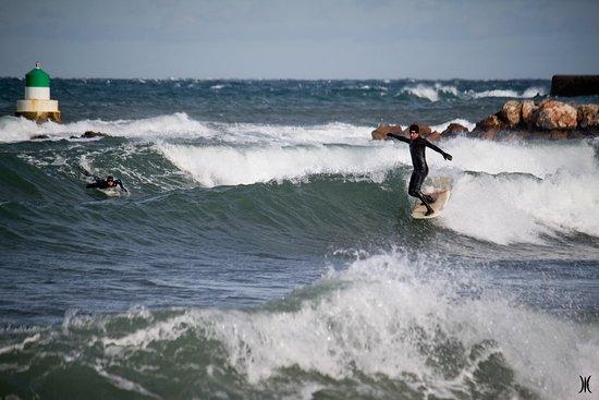 Mediterrasurf