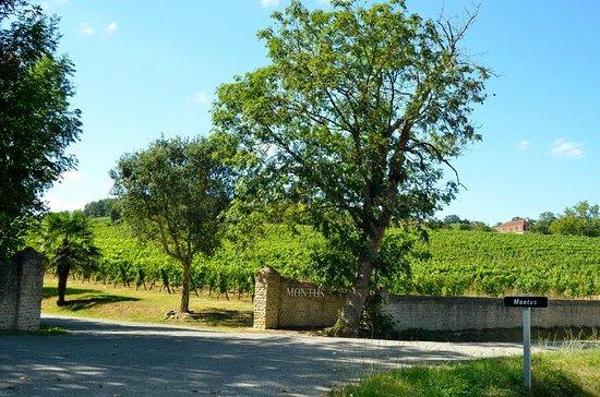 Chateau Bouscasse