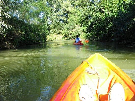 Canoe en Saves