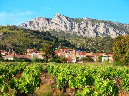 Domaine Vents du Sud