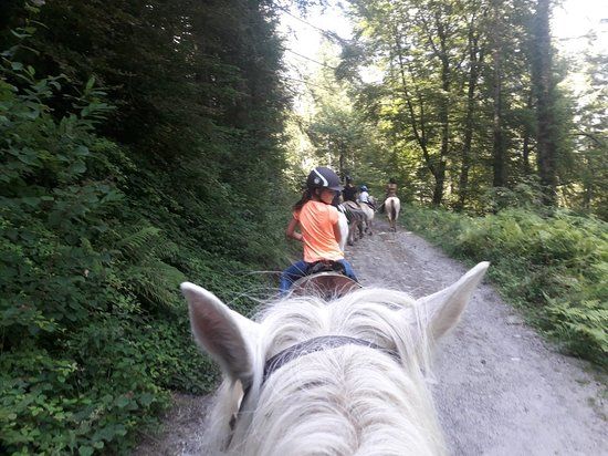 Ferme Equestre de Bernicaze