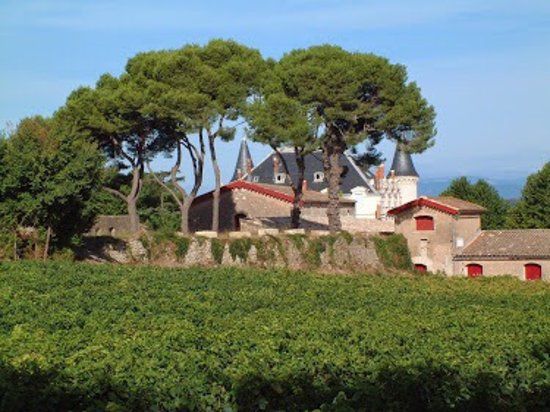 le château de Saint-Martin-de-Graves
