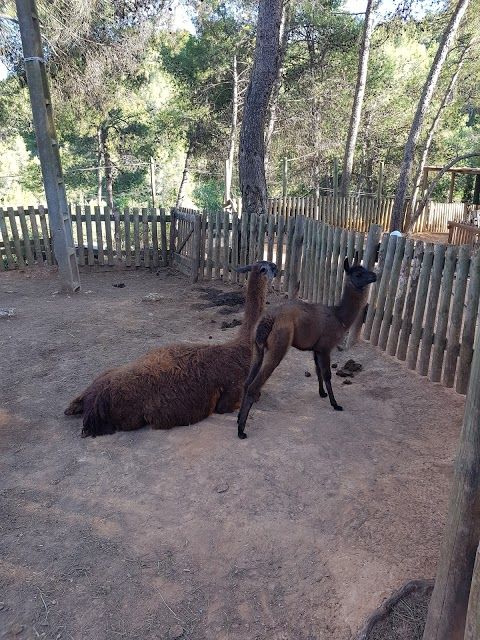 Mini Ferme Zoo