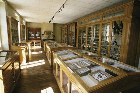 Musée d'Histoire Naturelle Philadelphe Thomas