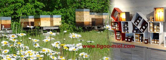 Les Ruchers du Tigou