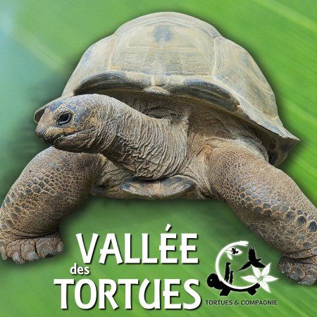La Vallée des Tortues