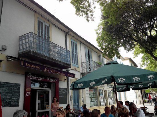 Le Micocoulier