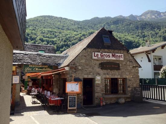Le Gros Minet