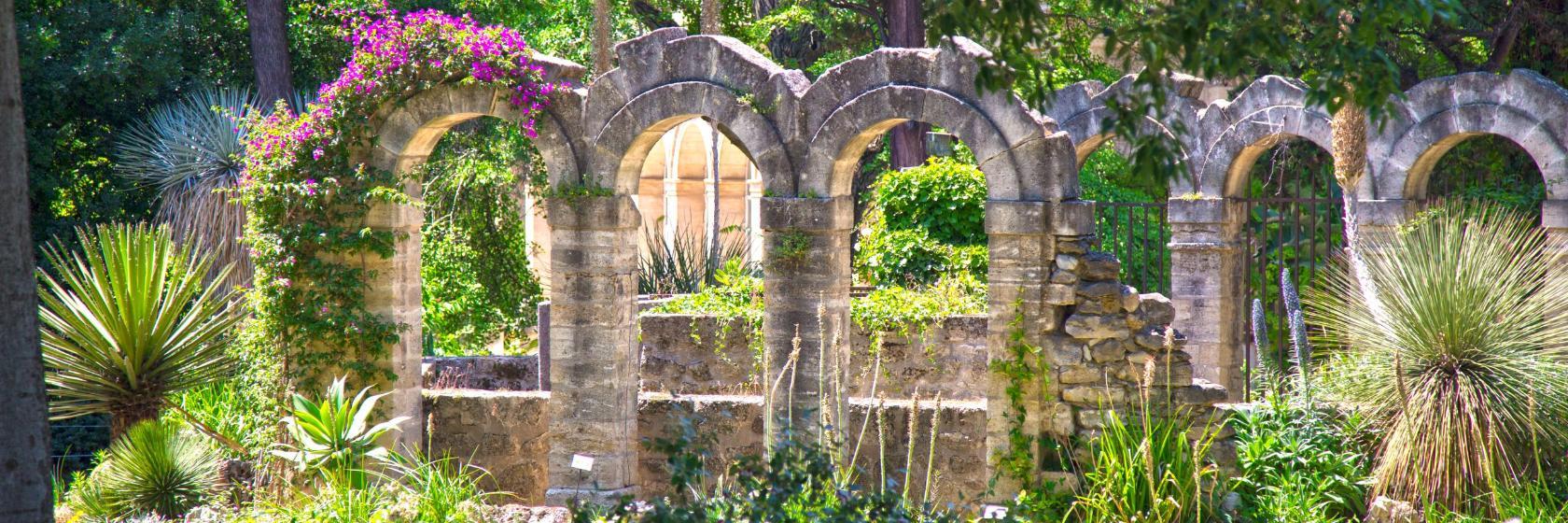Jardin des Plantes