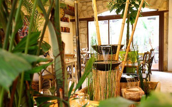 Le Patio'Né