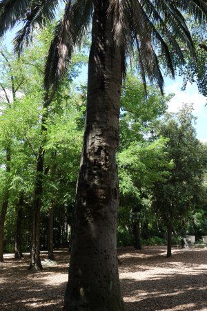 Parc Magnol